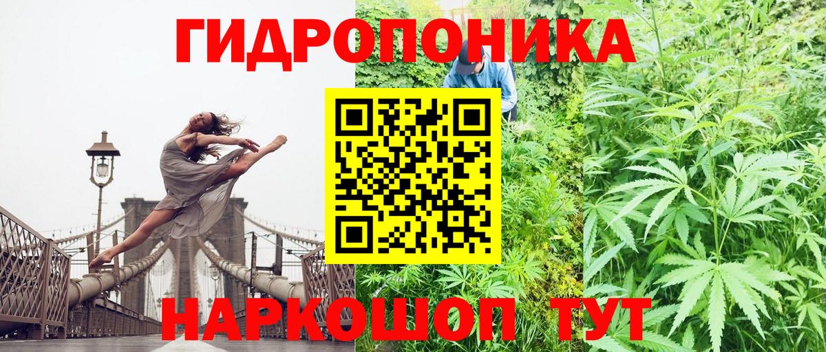 Бошки Шишки семена Тутаев